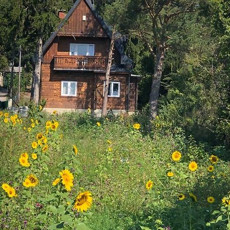 Vacationhome In The Vineyards Viena Exterior foto