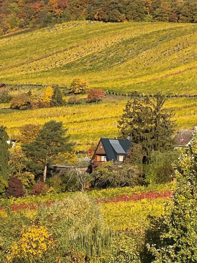 Vacationhome In The Vineyards Viena Exterior foto