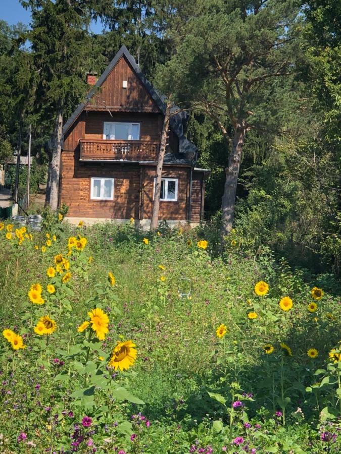 Vacationhome In The Vineyards Viena Exterior foto