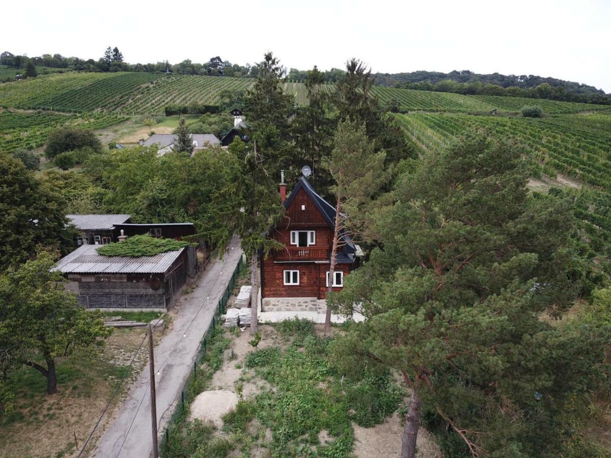 Vacationhome In The Vineyards Viena Exterior foto